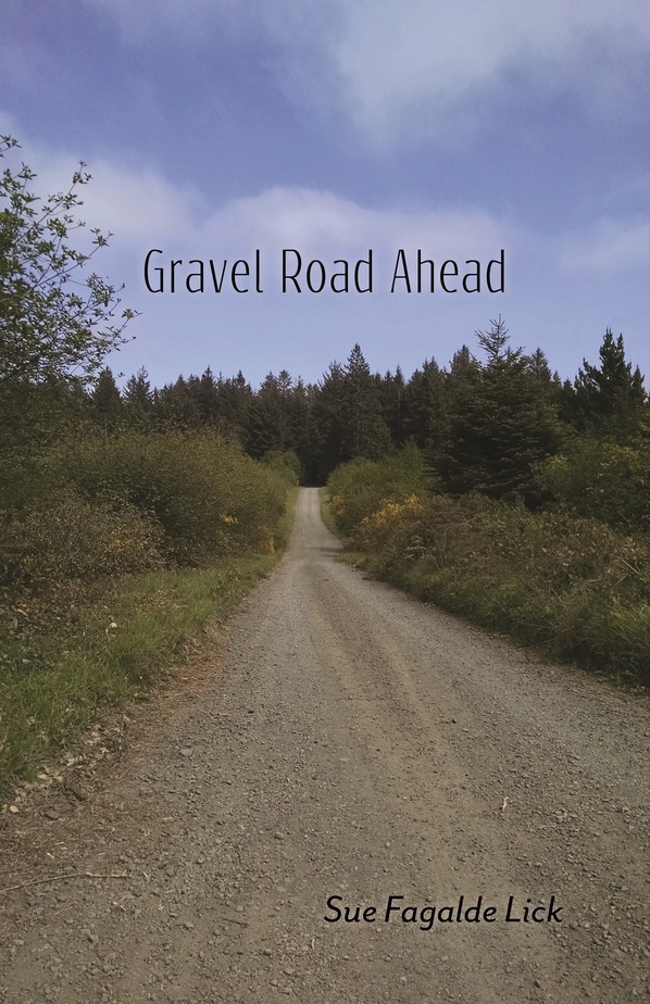 Gravel Road Ahead by Sue Figalde Lick