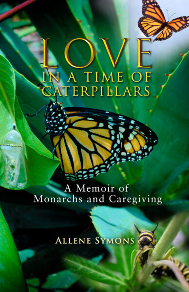 cover image for Love in a Time of Caterpillars by Allene Symons